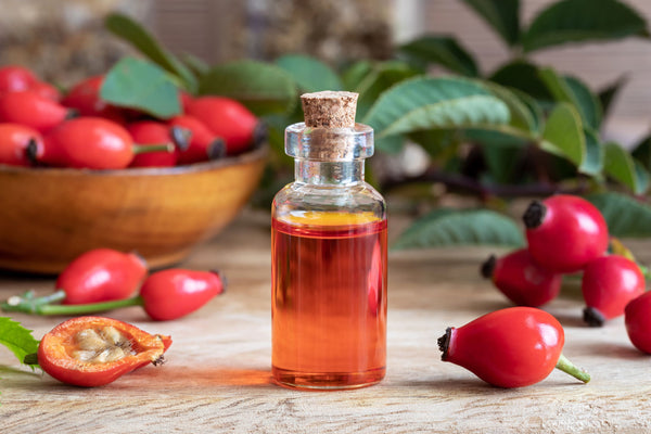 The Ancient Egyptians and Rosehip Oil: A Timeless Beauty Secret